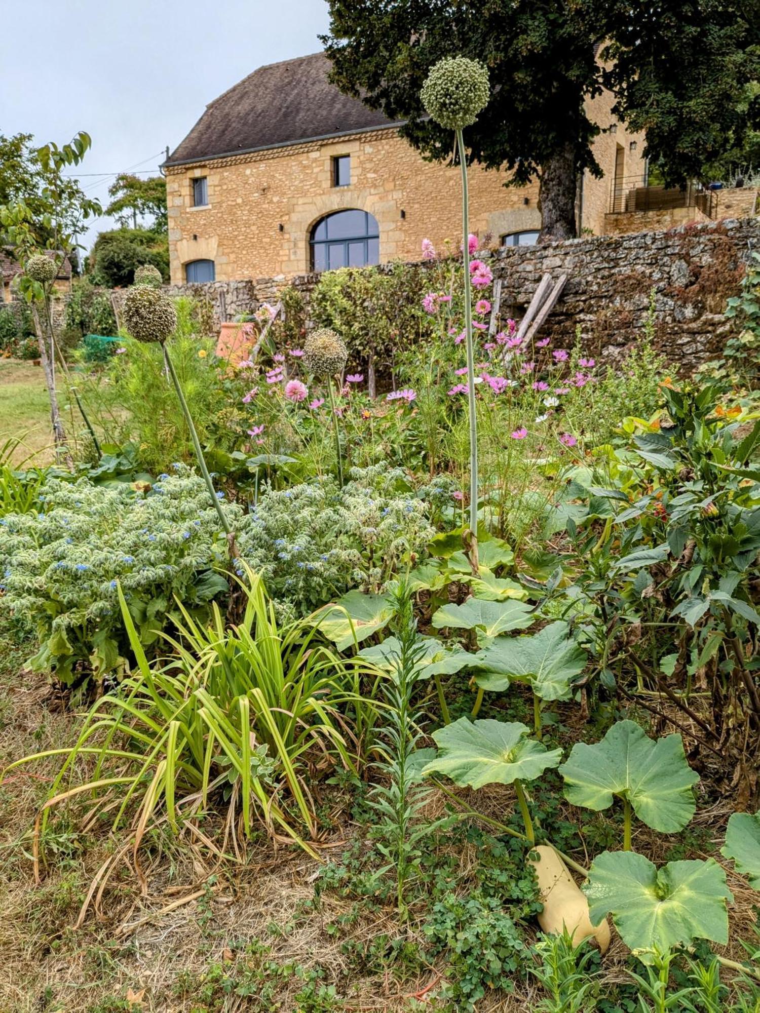 La Grange Symphorine, Chambre D'Hotes De Charme Situee Entre La Vallee De La Dordogne Et La Vallee De La Vezere 梅拉尔斯 外观 照片